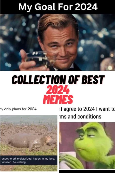 best memes of 2024|most popular memes of 2024.